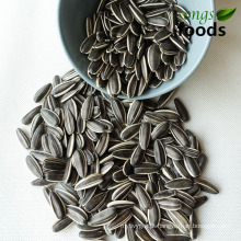 Vendas quentes de sementes de girassol cruas de fornecedor chinês